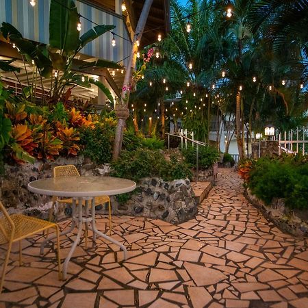 Lazy Parrot Inn Ринкон Экстерьер фото
