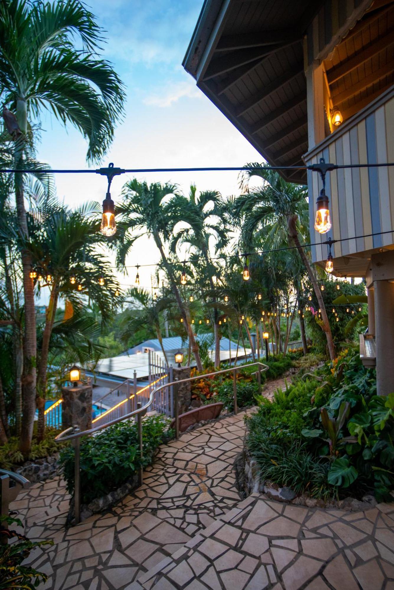 Lazy Parrot Inn Ринкон Экстерьер фото