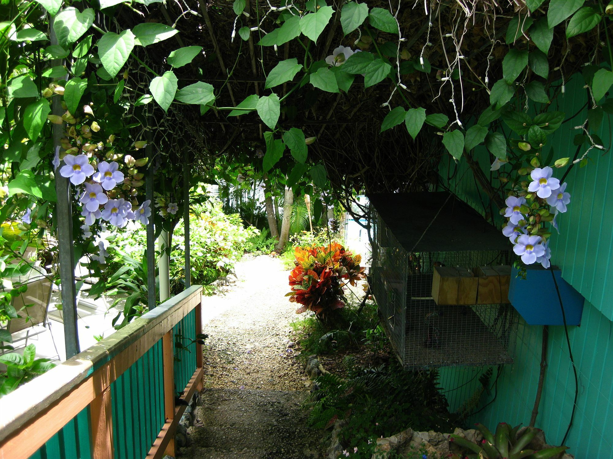 Lazy Parrot Inn Ринкон Экстерьер фото