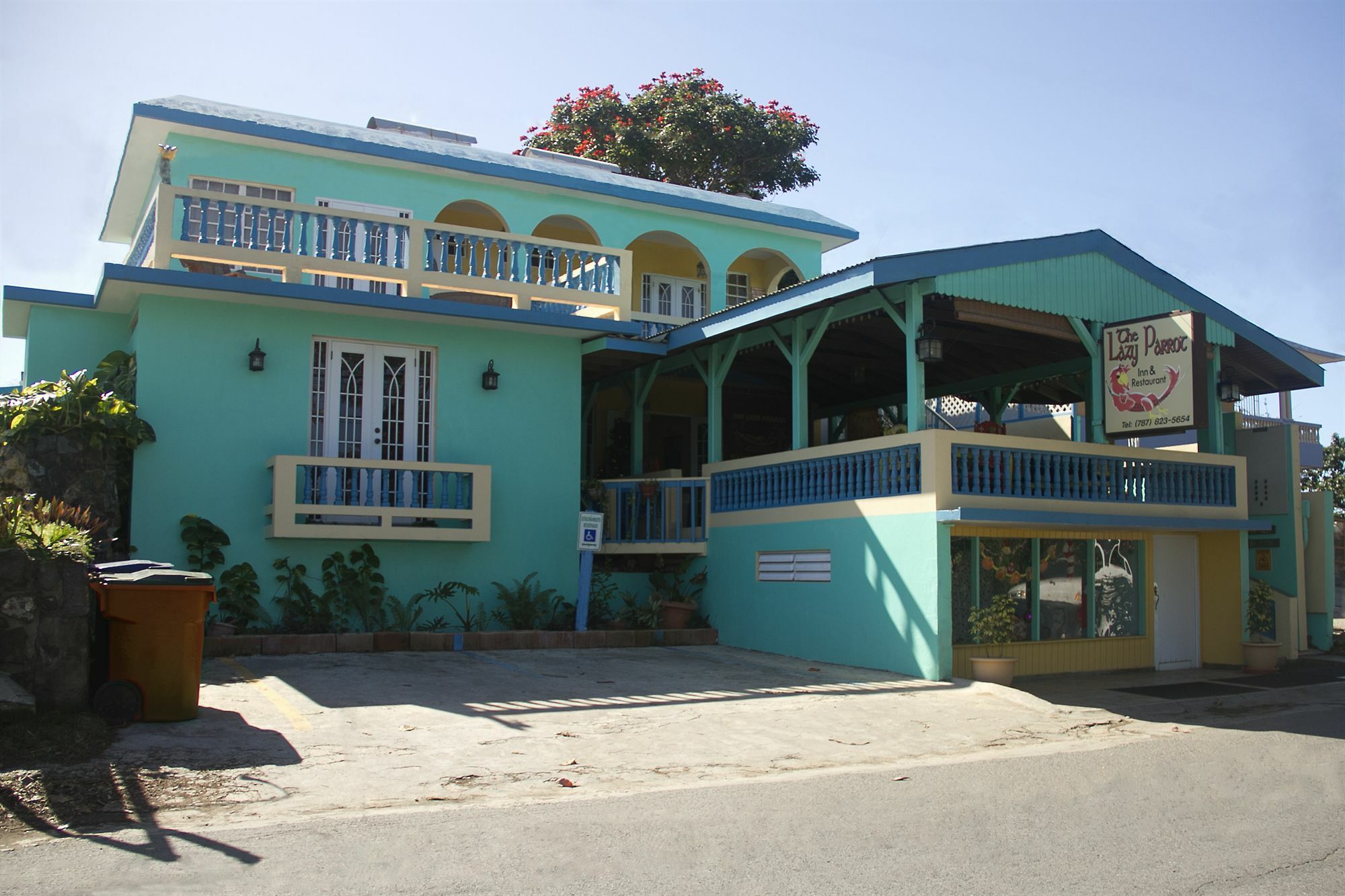 Lazy Parrot Inn Ринкон Экстерьер фото